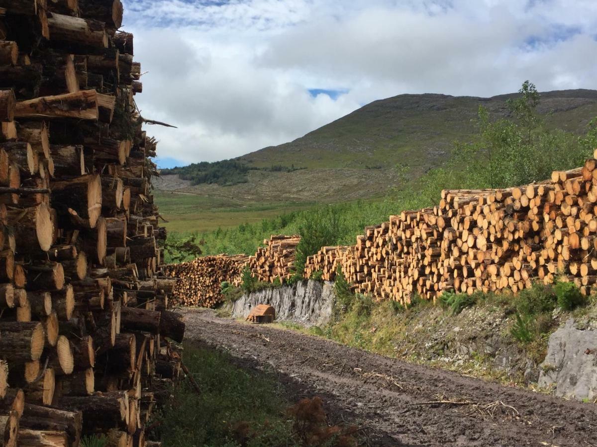 Alaind Lodges, Sneem Exterior foto